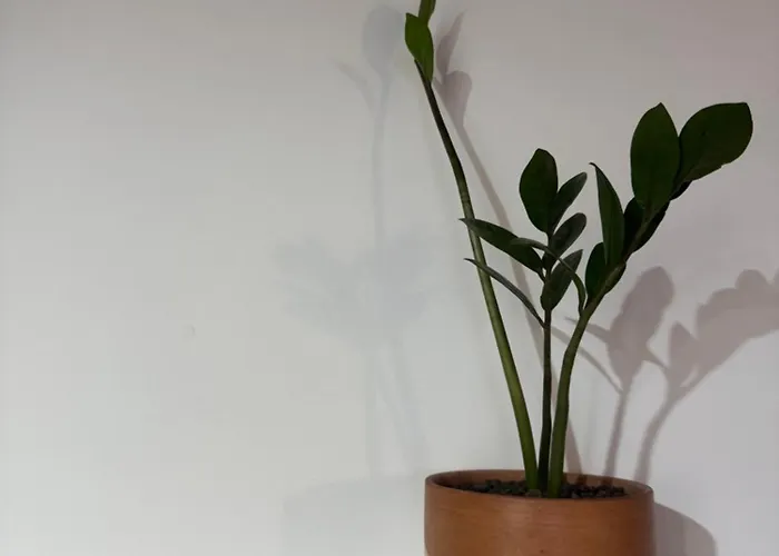 Eolie All'orizzonte *